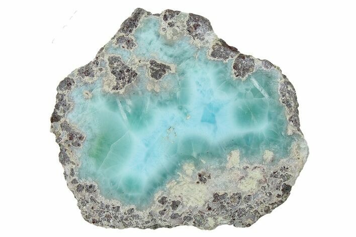 Slice Of Larimar Replaced Wood Limb Cast #278355